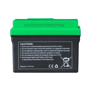 Аккумулятор FUBAG li-ion 3Ah для инверторного генератора TI 11000 A ES (арт. 646211) купить в Калуге